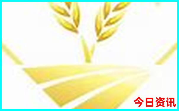 佛堂古镇最出名的三个景点